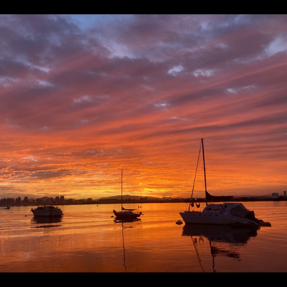 Meet your Posher, Neeharika